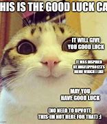 Image result for Lucky Cat Meme