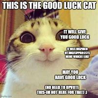 Image result for Good Luck Animal Meme