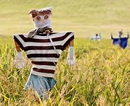 Image result for Scary Scarecrow