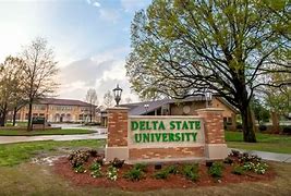 Image result for Delta State University Pennant