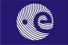 Image result for Esa Logo Flags