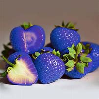 Image result for Hybrid Fruits and Vegetables
