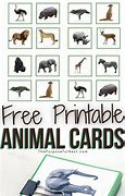 Image result for Wildlife Memory Match Cards