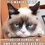 Image result for Grumpy Cat Job Meme