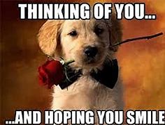 Image result for Cute Thinking of You Meme