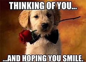 Image result for Funny Thinking of You Romantic