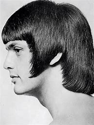 Image result for Head of Hair 1960s Men