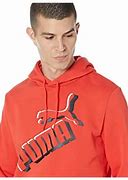 Image result for Red Puma Men Sneakers