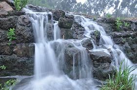 Image result for Landscaping with Water Features