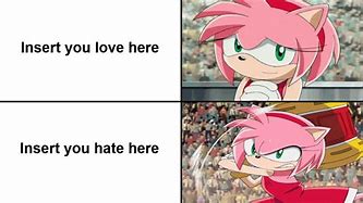 Image result for Amy Rose Meme Stare
