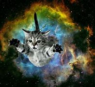 Image result for Awesome Galaxy Cat