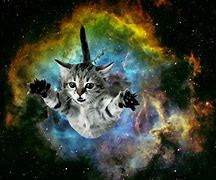 Image result for Purple Galaxy Art Cats