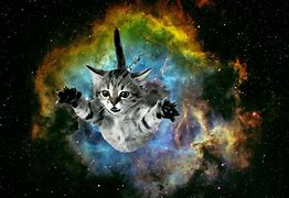 Image result for Galaxy Cat Meemeows