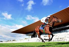 Image result for Horse Racing Newspaper
