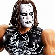Image result for WWE Undertaker Action Figure
