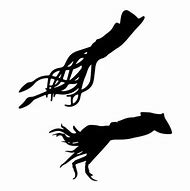 Image result for Squid Silhouette