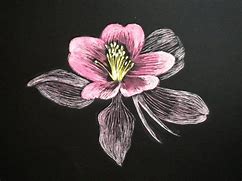 Image result for Scratchboard Art Flowers