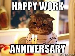 Image result for Business Cat Meme Anniversary