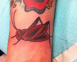 Image result for Butterfly and Cricket Tattoo