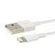 Image result for Apple iPhone Charger Box