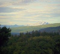Image result for Bellingham Washington State