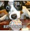 Image result for Funny Happy Birthday Wish