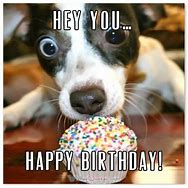 Image result for Funny Birthday Wishes for Your Best Friend
