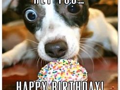 Image result for Happy B day Funny