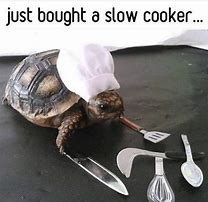 Image result for Funny Cook