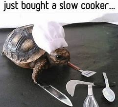 Image result for Cooking Images Funny