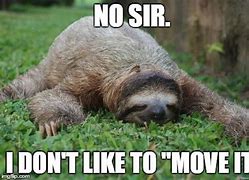 Image result for Sloth Funny Animal Memes