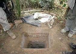 Image result for saddam in rat hole