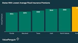 Image result for How Much Does Flood Insurance Cost