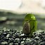 Image result for Android 13 Default Wallpaper