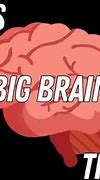 Image result for Blue Big Brain Meme