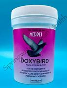 Image result for Doxy Bird