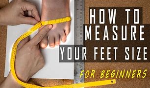 Image result for Objects That You Might Measure with Feet