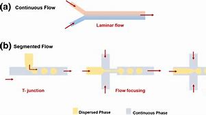 Image result for Segmented Flow Aseptic Packaging