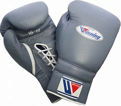 Image result for Winning Boxing Gloves