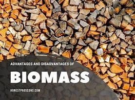 Image result for Biomass Pros and Cons