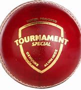 Image result for SG Cricket Ball