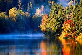 Image result for Late Fall Wallpaper