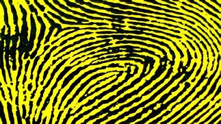 Image result for Yellow Fingerprint