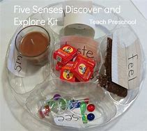 Image result for 5 Senses Science Kit