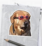 Image result for Dog with Goggles Meme
