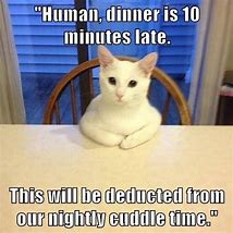 Image result for Funny Animal Memes