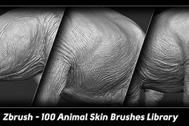 Image result for Skin Texture Brush Beast