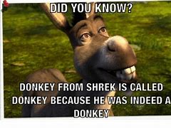 Image result for Donkey From Shrek Meme