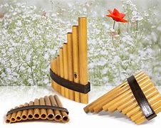 Image result for Funny Pan Flute