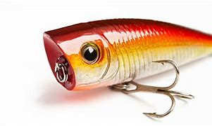 Image result for Saltwater Fishing Lures